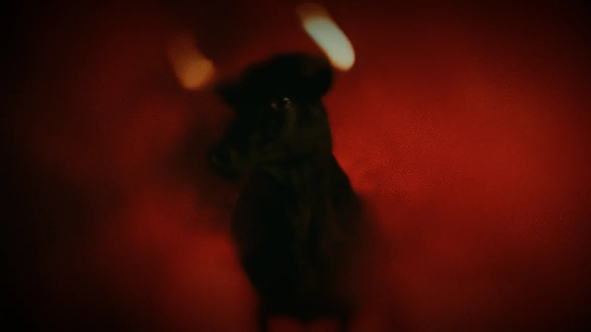 Lights Out · still 15