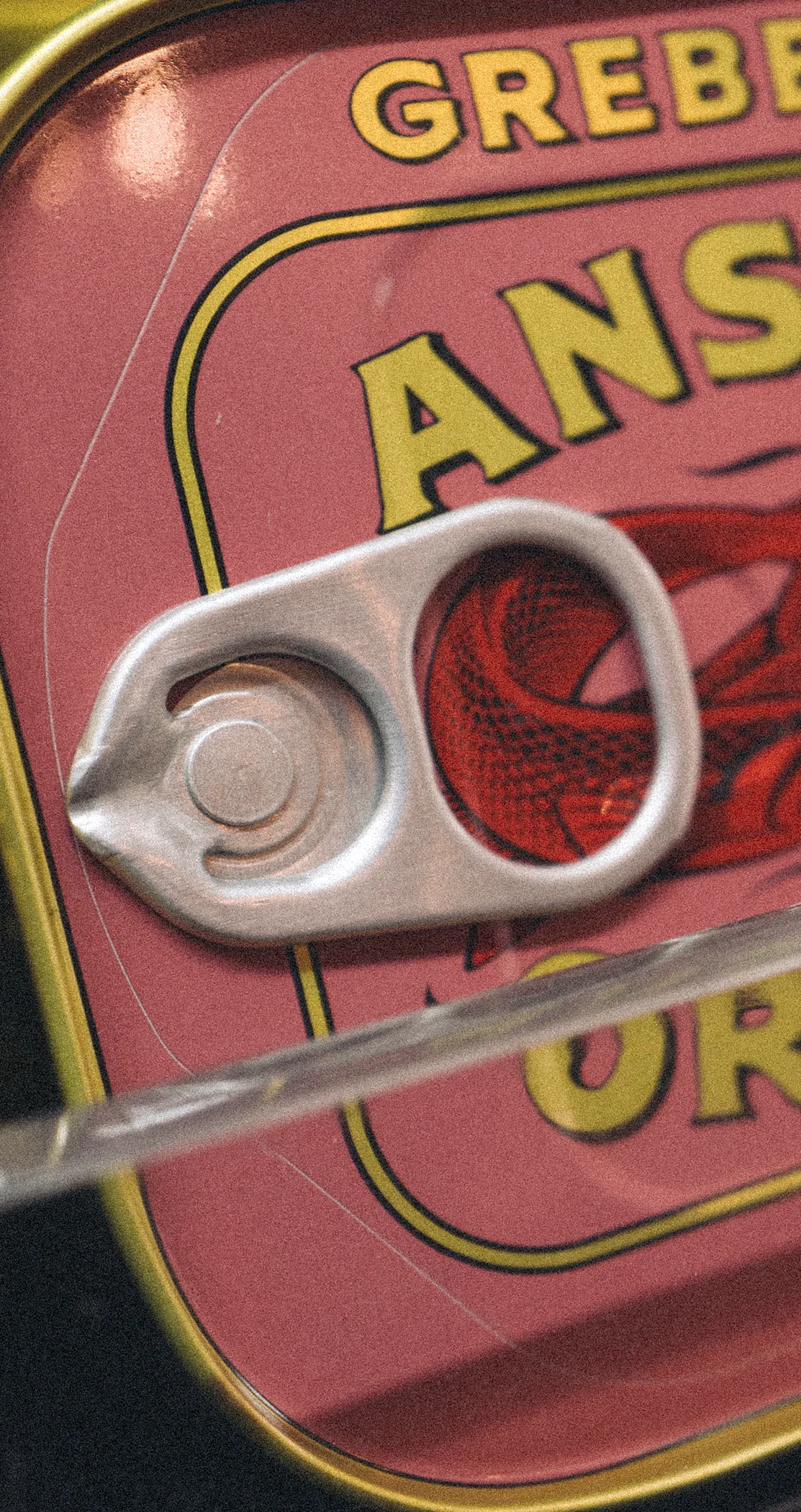 The ring pull of a Swedish anchovy tin, close up