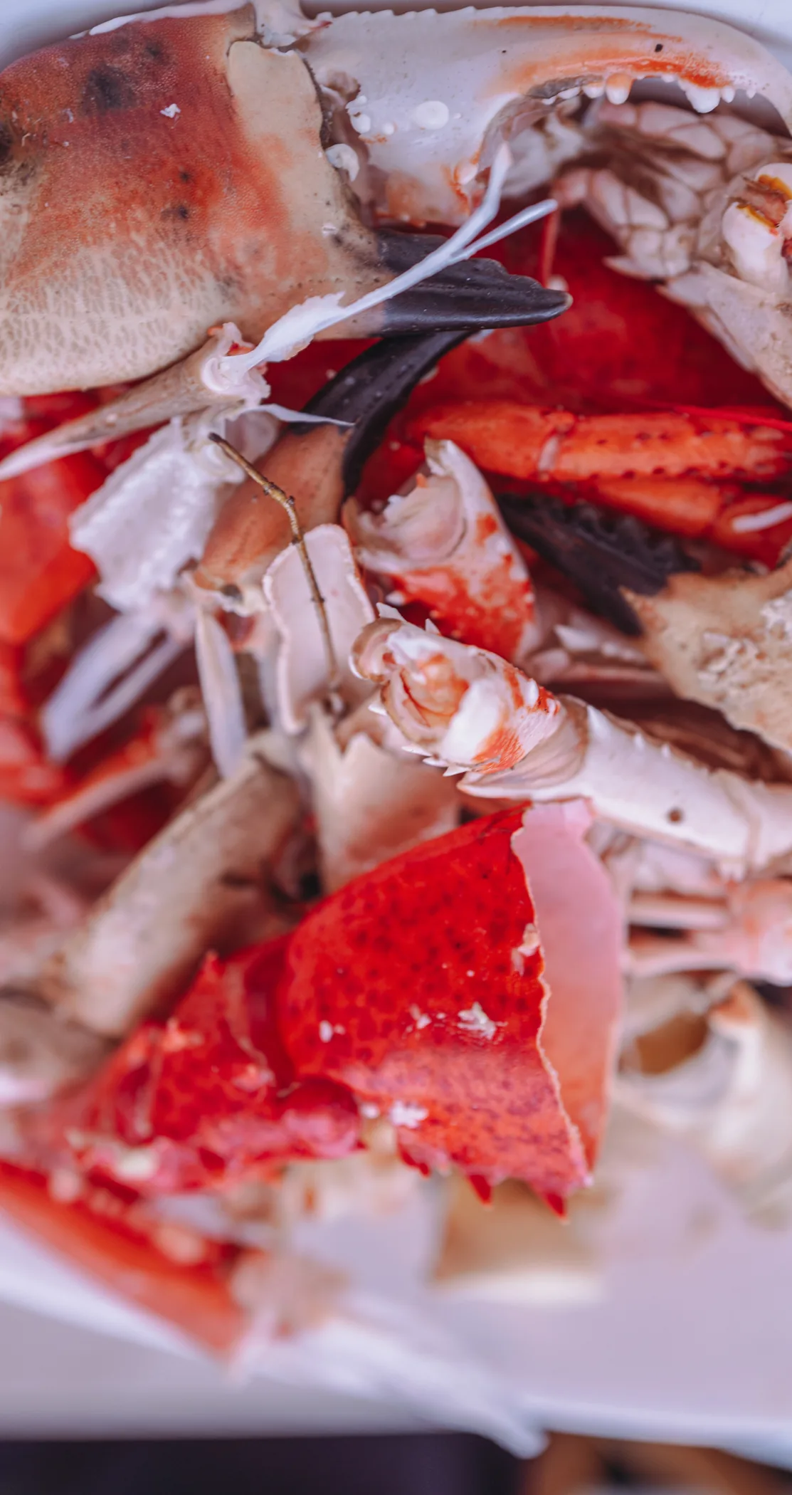 A plate of cracked crayfish and shells, close up